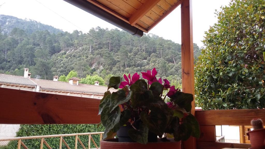 Cabanas De Madera El Rinconcillo Arroyo Frio Buitenkant foto