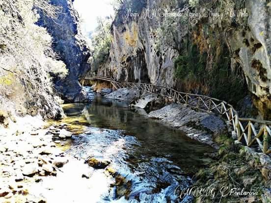 Cabanas De Madera El Rinconcillo Arroyo Frio Buitenkant foto